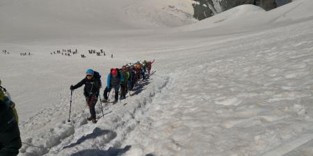 x IMG_20240729_104752